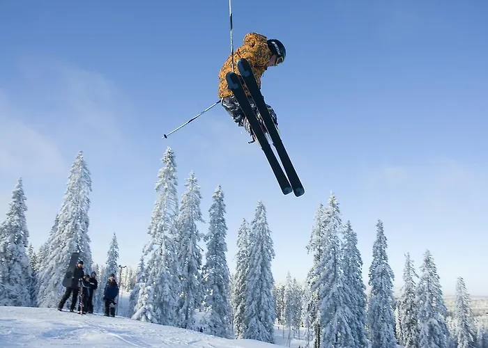 Huvilat Polaris Sappee